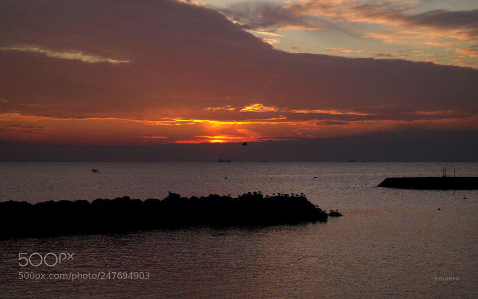 Samsung NX30 sample photo. ... photography