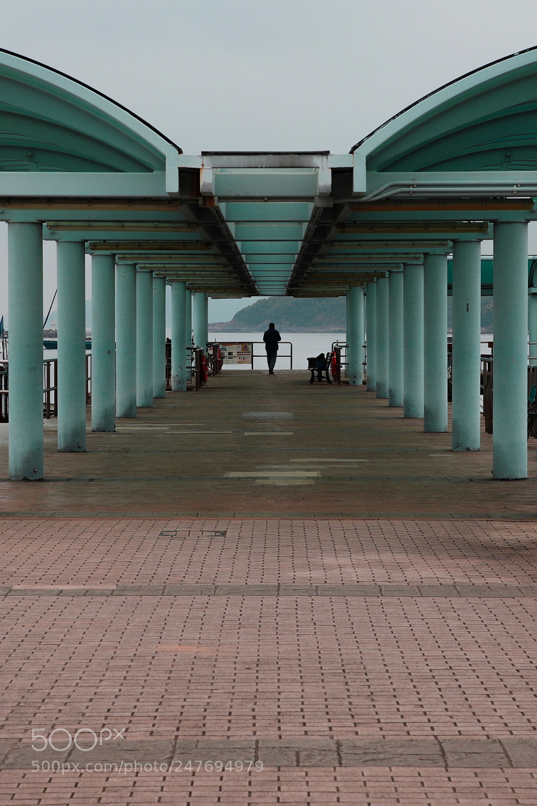 Canon EOS 6D Mark II sample photo. Untitled photography