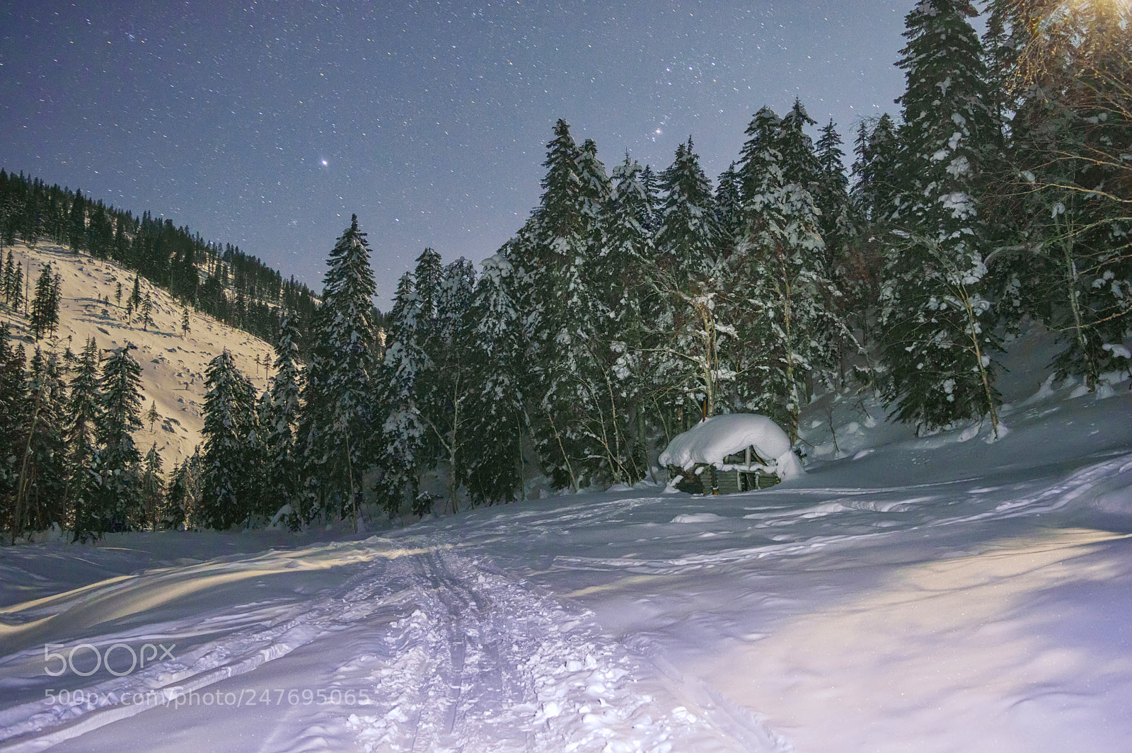 Nikon D3200 sample photo. Starry night in the photography