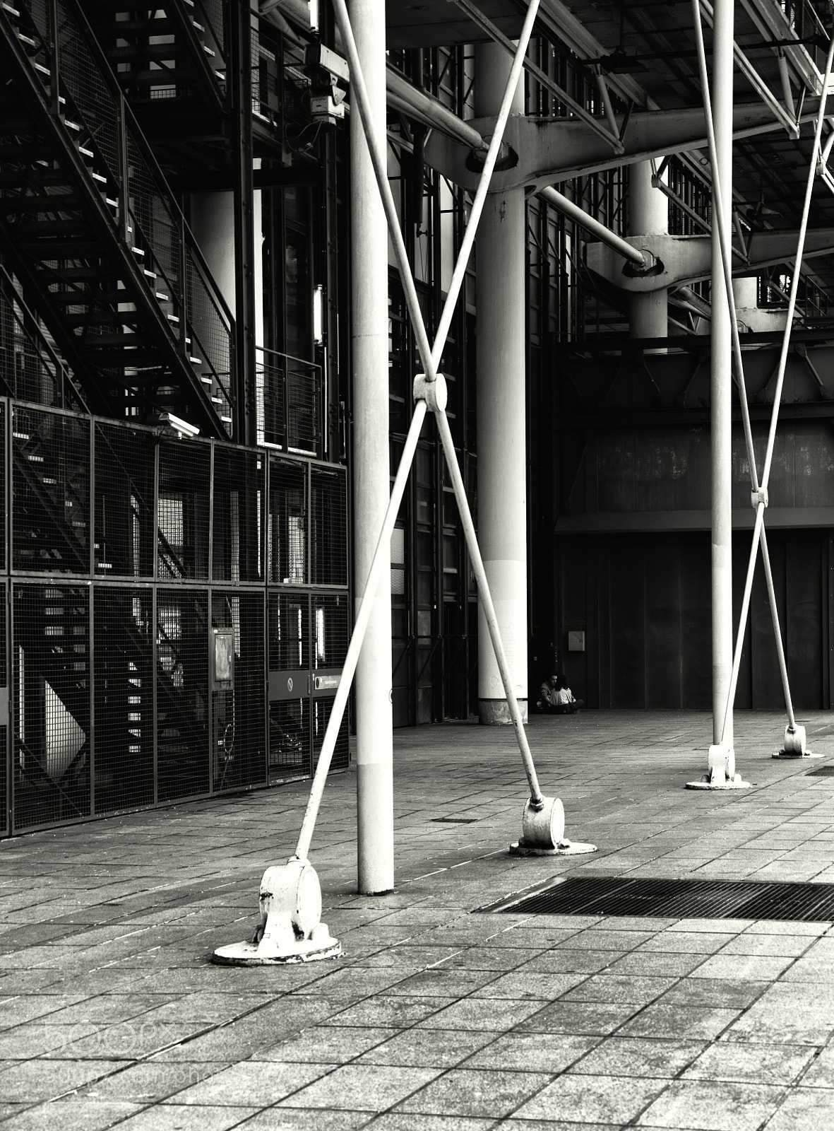 Nikon D810 sample photo. Legs of steel photography