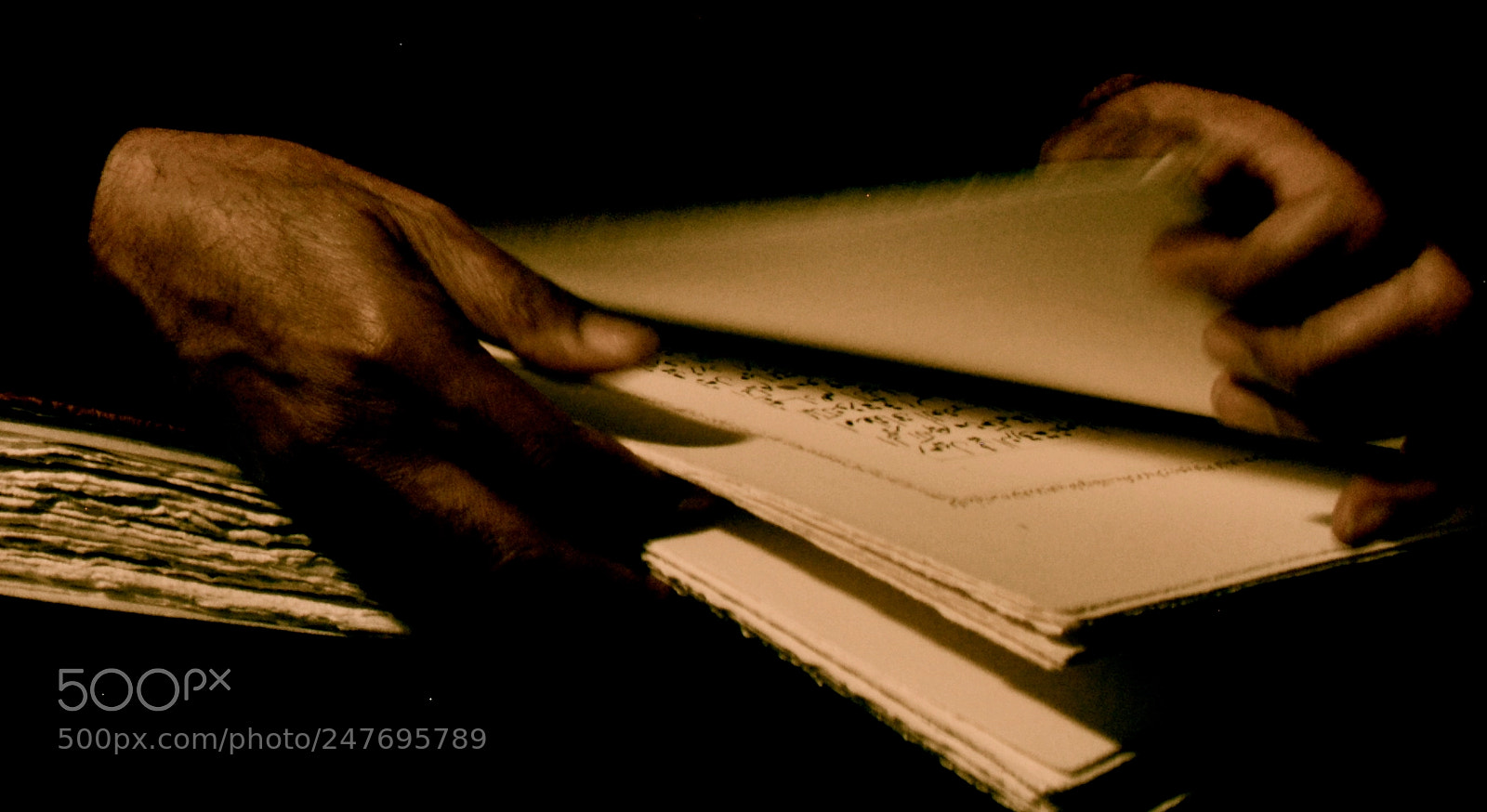 Nikon D60 sample photo. Blueness of the shadow زرقة الظل photography