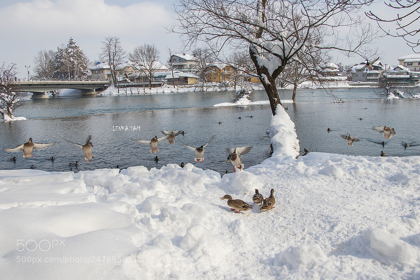 Canon EOS 80D sample photo. Winter river photography