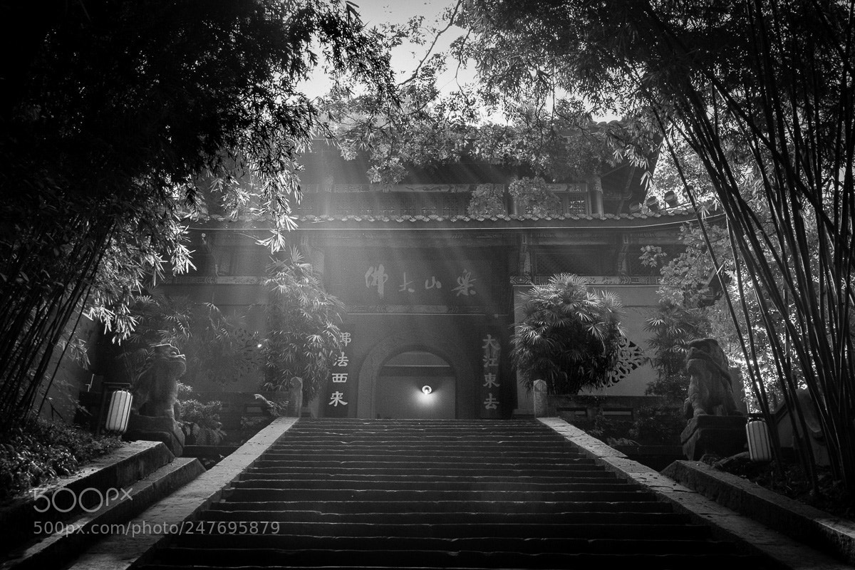 Fujifilm X-T1 sample photo. Stairs to enlightenment. photography