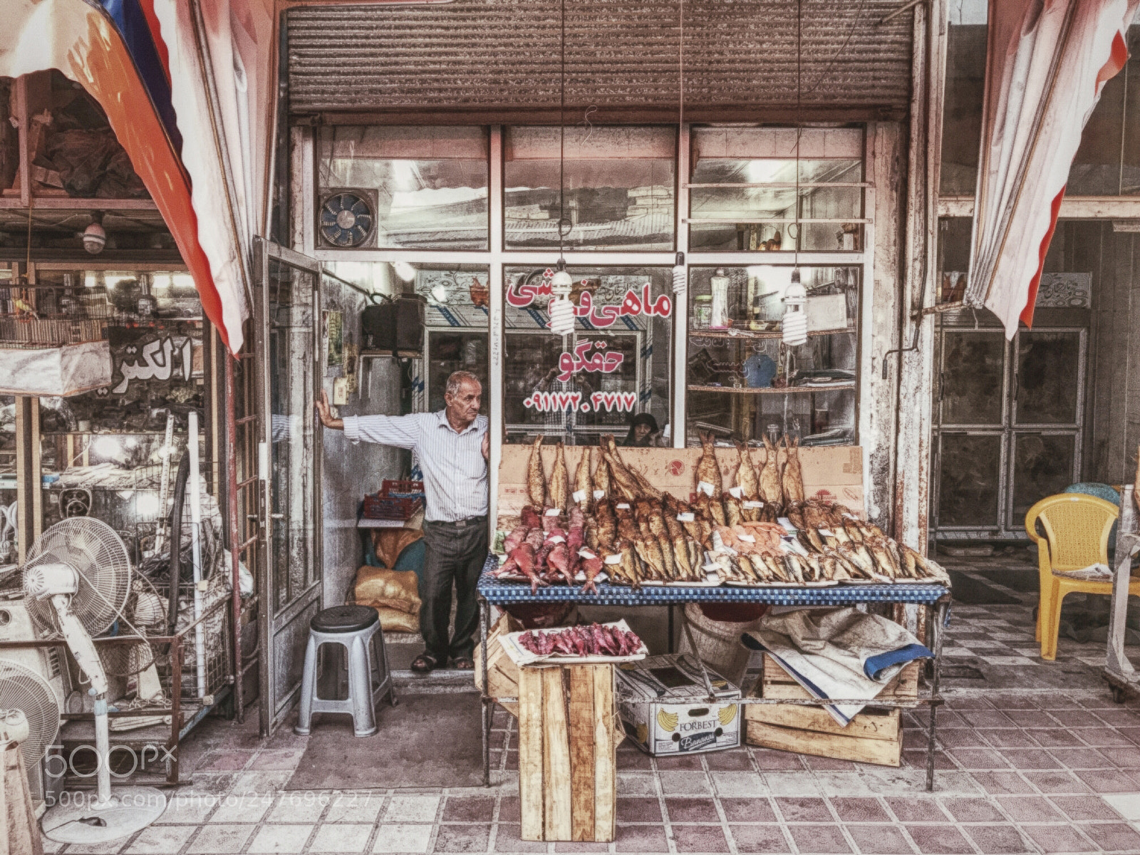 Apple iPhone 7 sample photo. The fish shop photography