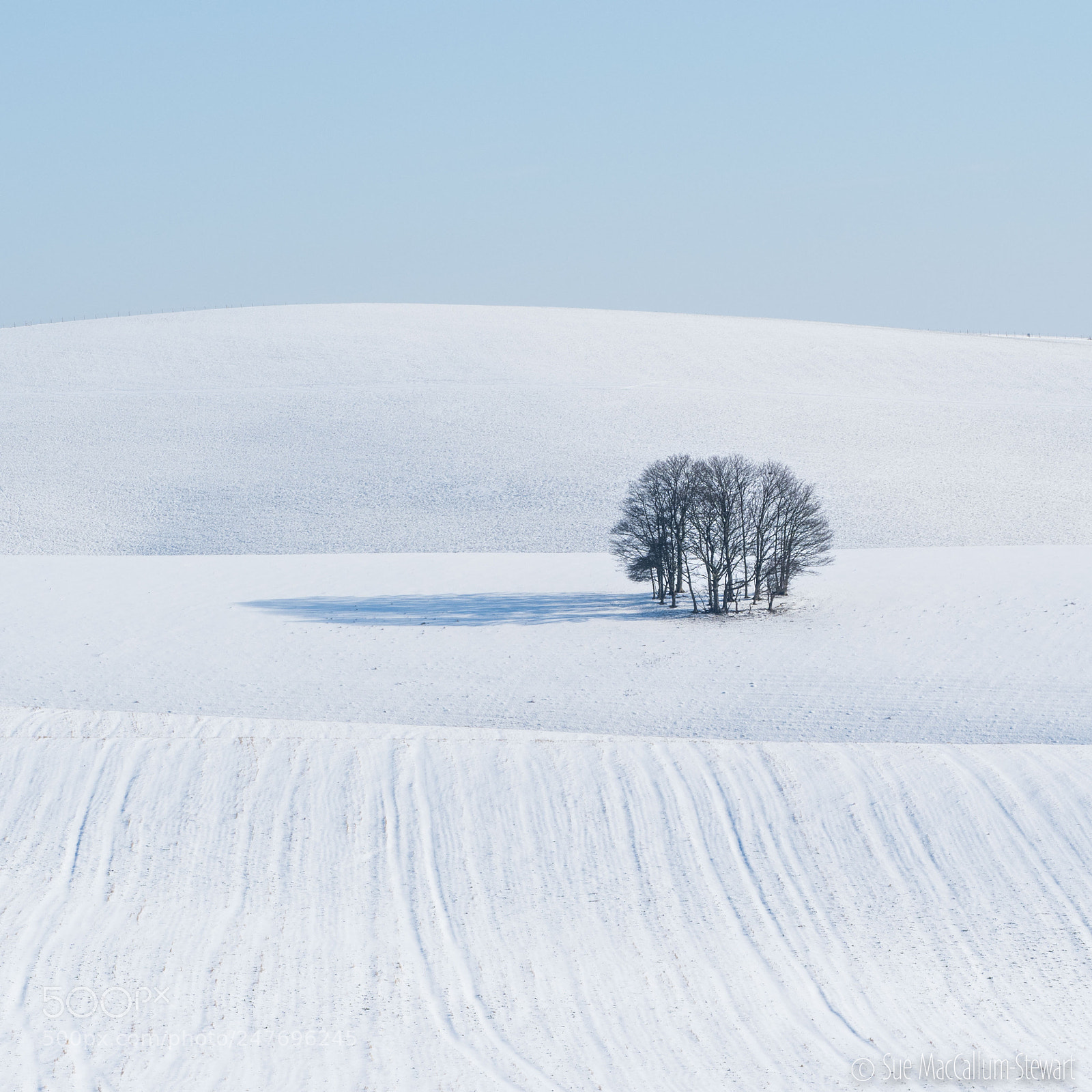 Olympus OM-D E-M1 Mark II sample photo. Minimalism photography