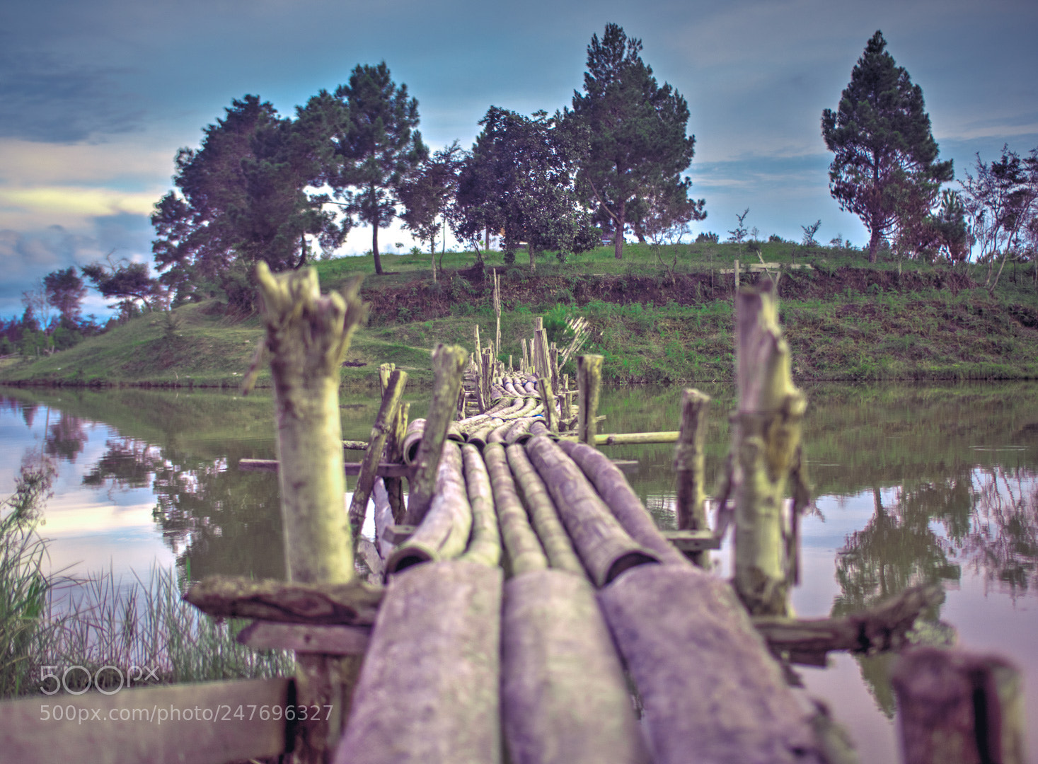 Panasonic Lumix DC-GH5 sample photo. Bamboo bridge over the photography