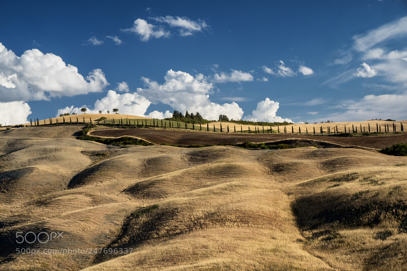 Fujifilm X-T2 sample photo. Summer landscape near asciano photography