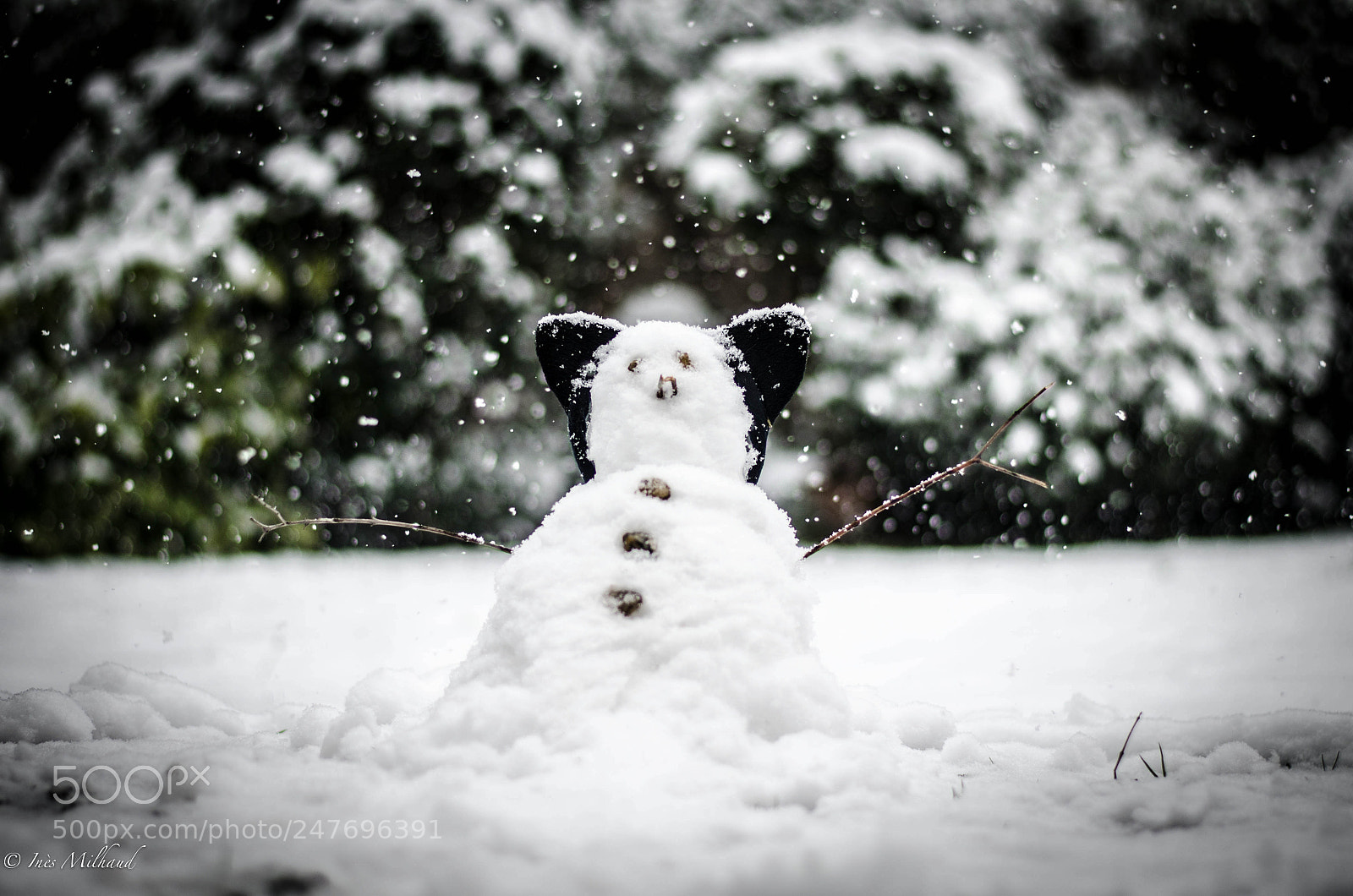 Nikon D5100 sample photo. Snowman photography