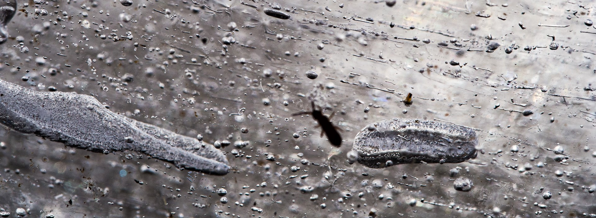 Olympus PEN E-PM2 sample photo. Frozen life photography