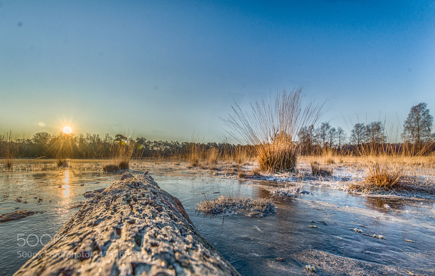 Nikon D610 sample photo. It's freezing photography