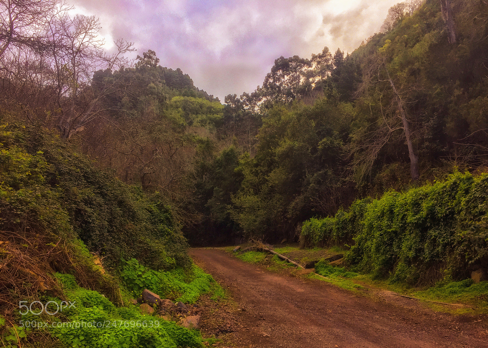 Apple iPhone 6 sample photo. Barranco de los dornajos photography
