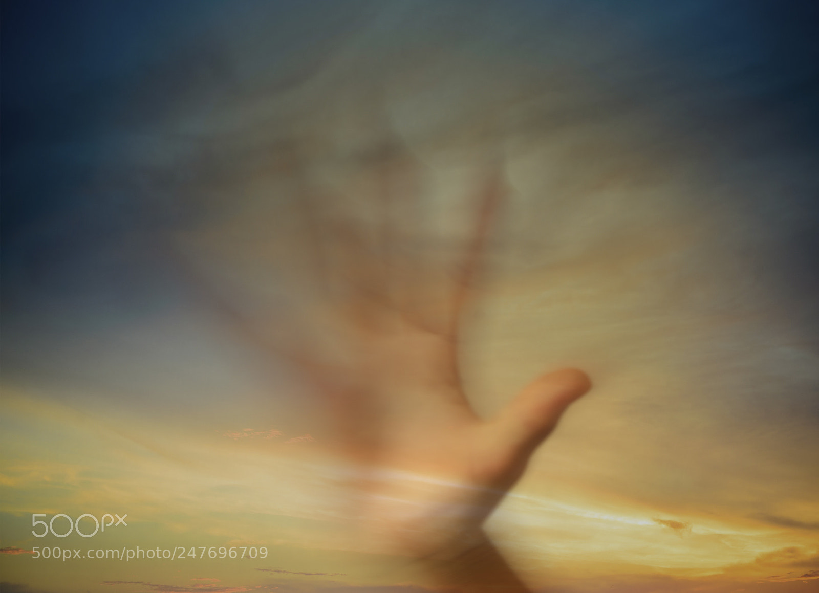 Nikon D610 sample photo. Hand on sun rise photography