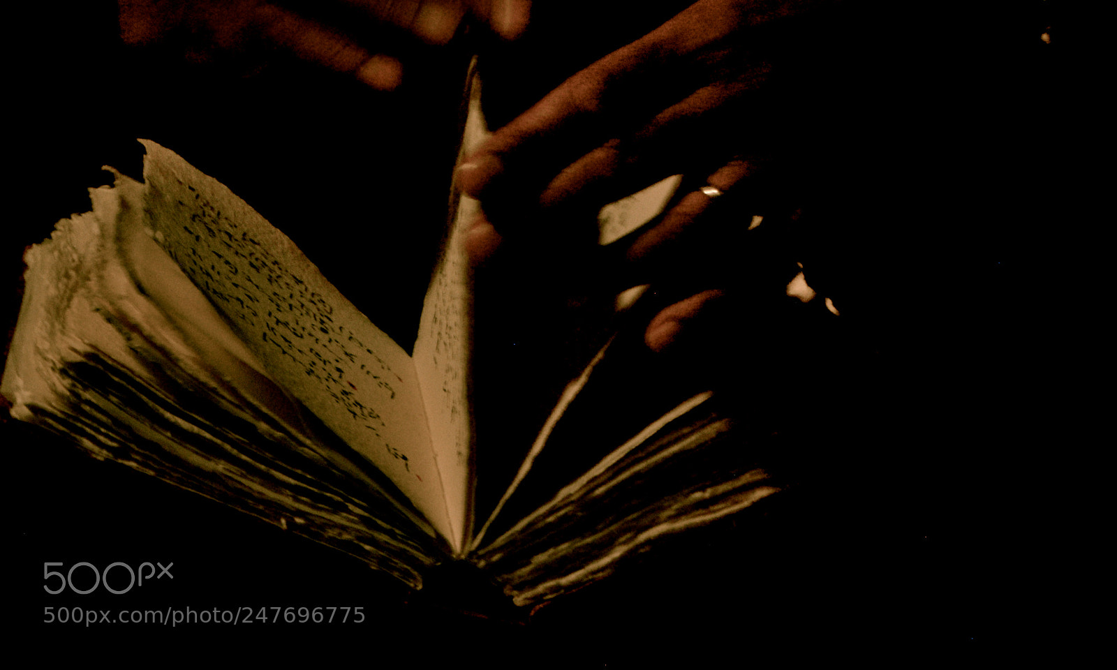 Nikon D60 sample photo. Blueness of the shadow زرقة الظل photography
