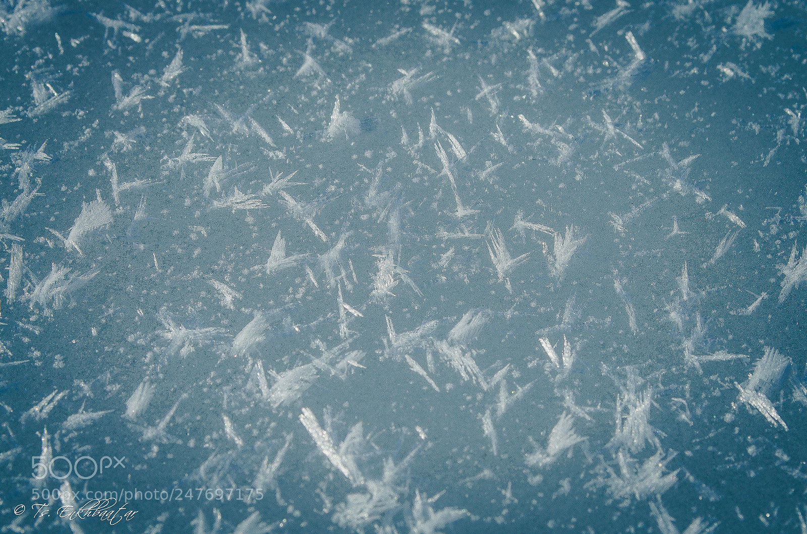 Nikon D5100 sample photo. Snow ... photography