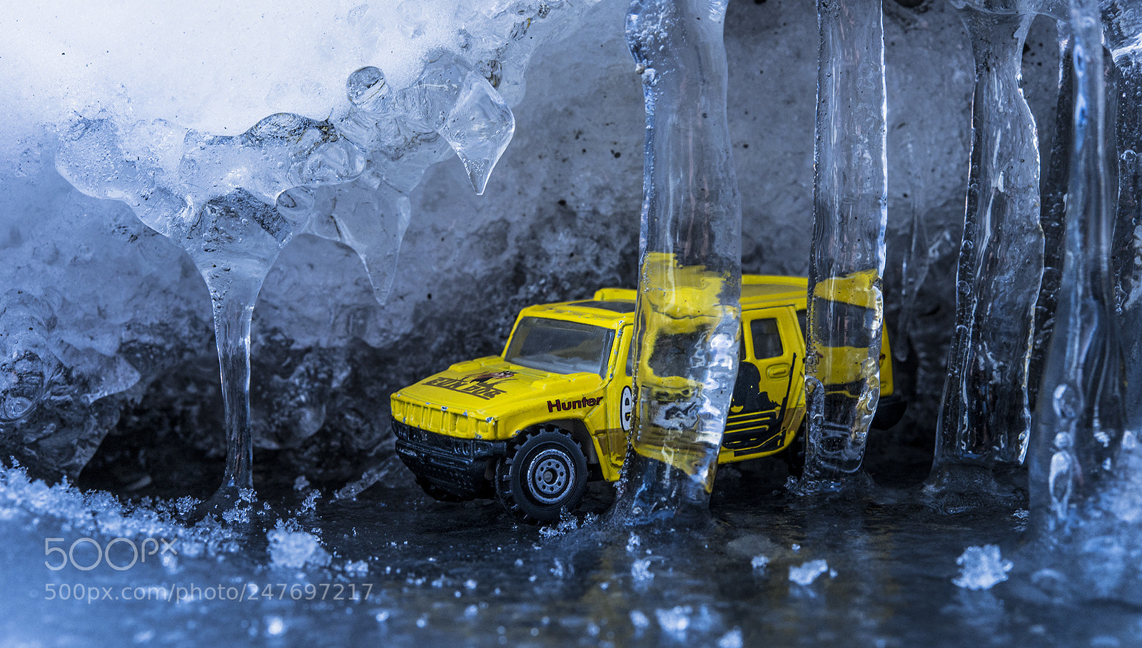 Nikon D800 sample photo. All you can do photography