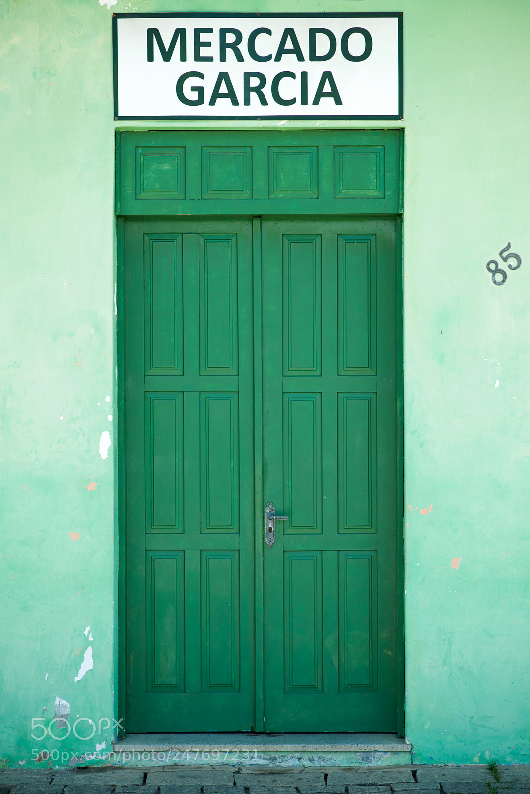 Nikon D610 sample photo. Green door photography