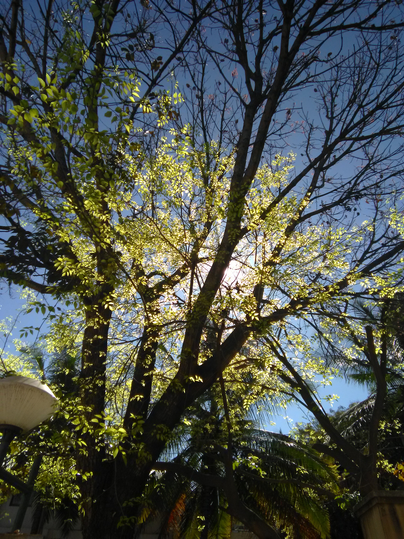 HMD Global Nokia 2 sample photo