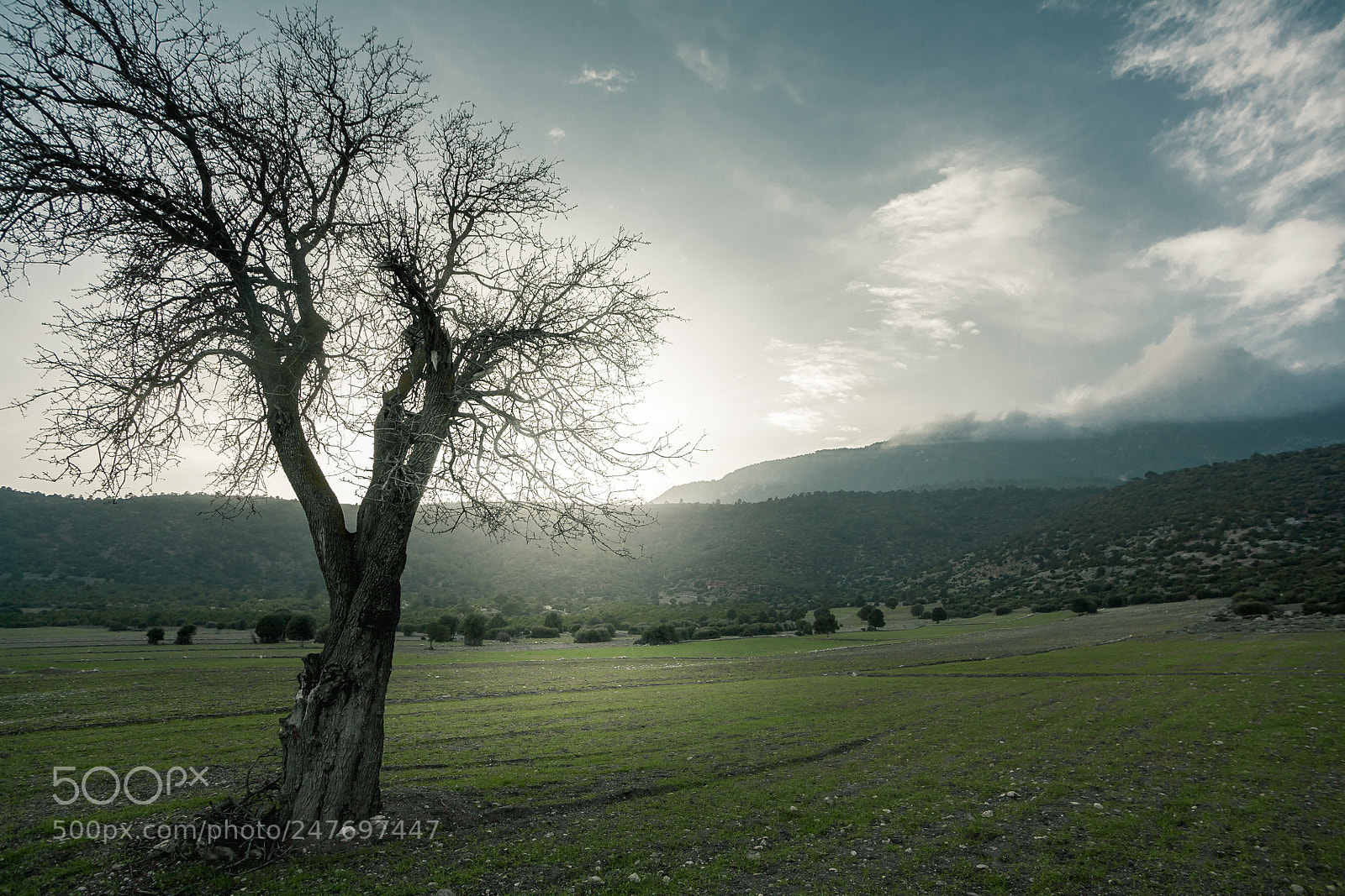 Canon EOS 5D sample photo. Make a fresh start photography