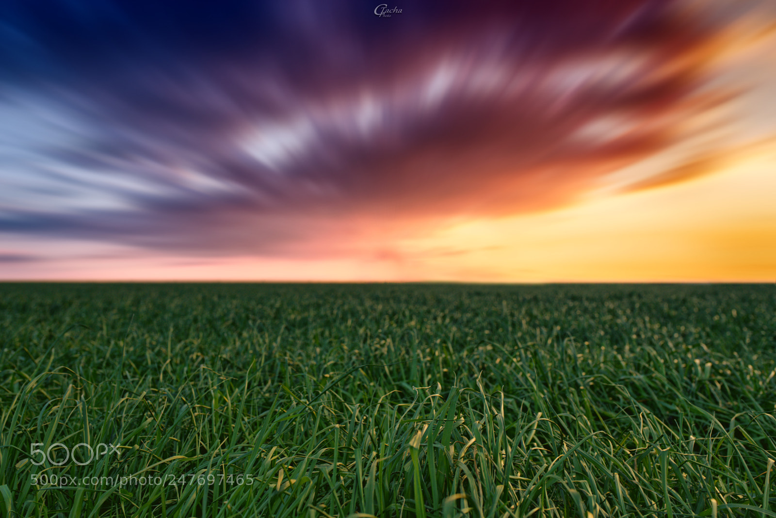 Nikon D750 + Sigma 35mm F1.4 DG HSM Art sample photo. Palette nature photography