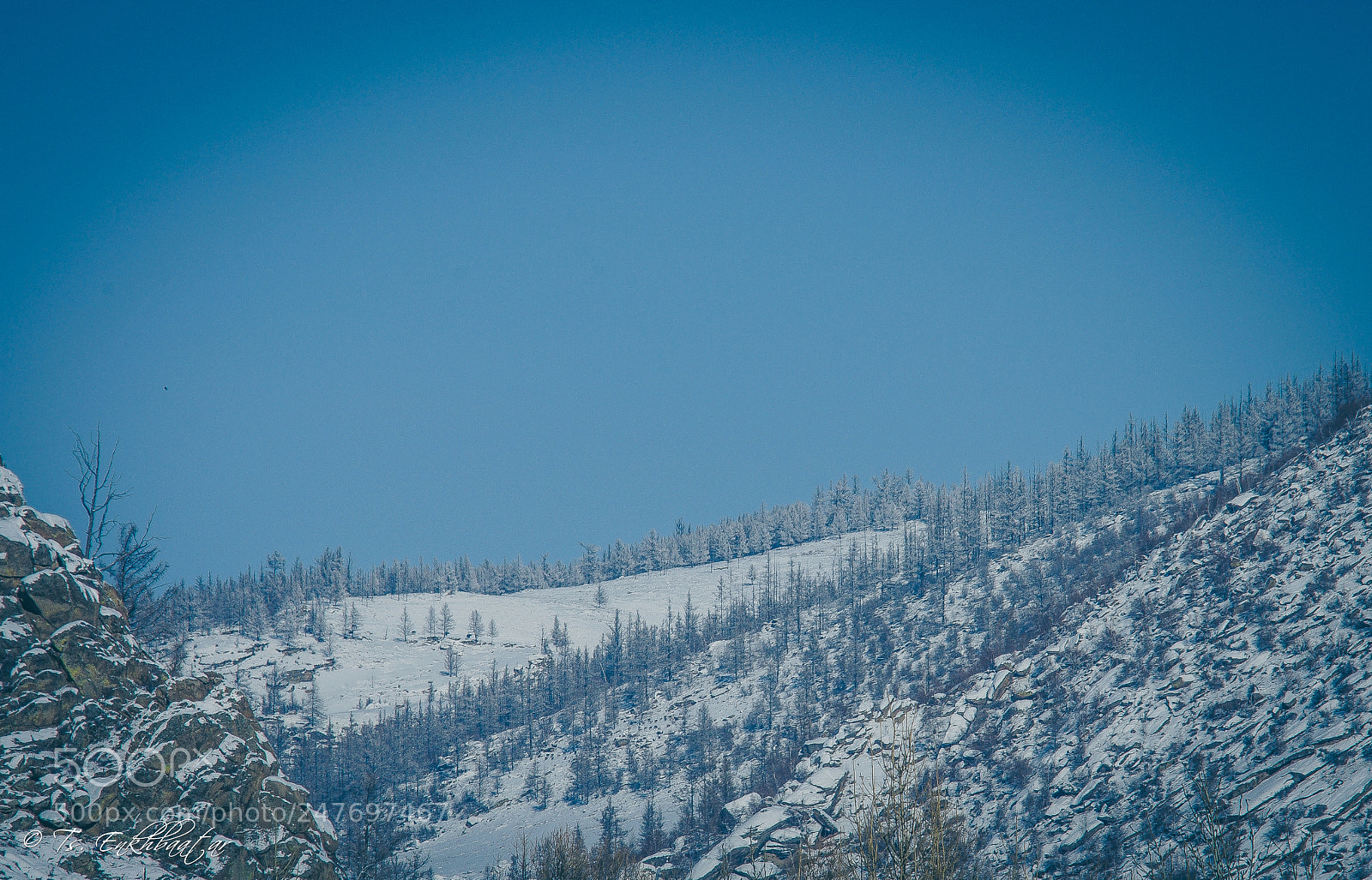 Nikon D5100 sample photo. Snowy morning photography