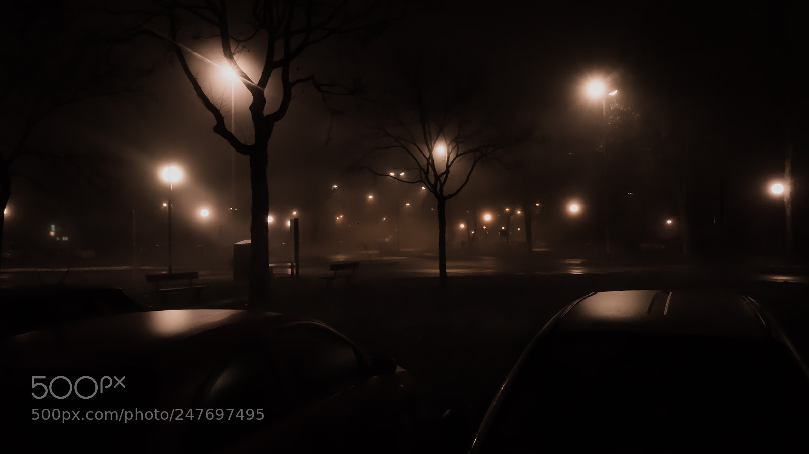 Sony Alpha NEX-6 sample photo. Lights in vicinage.. photography