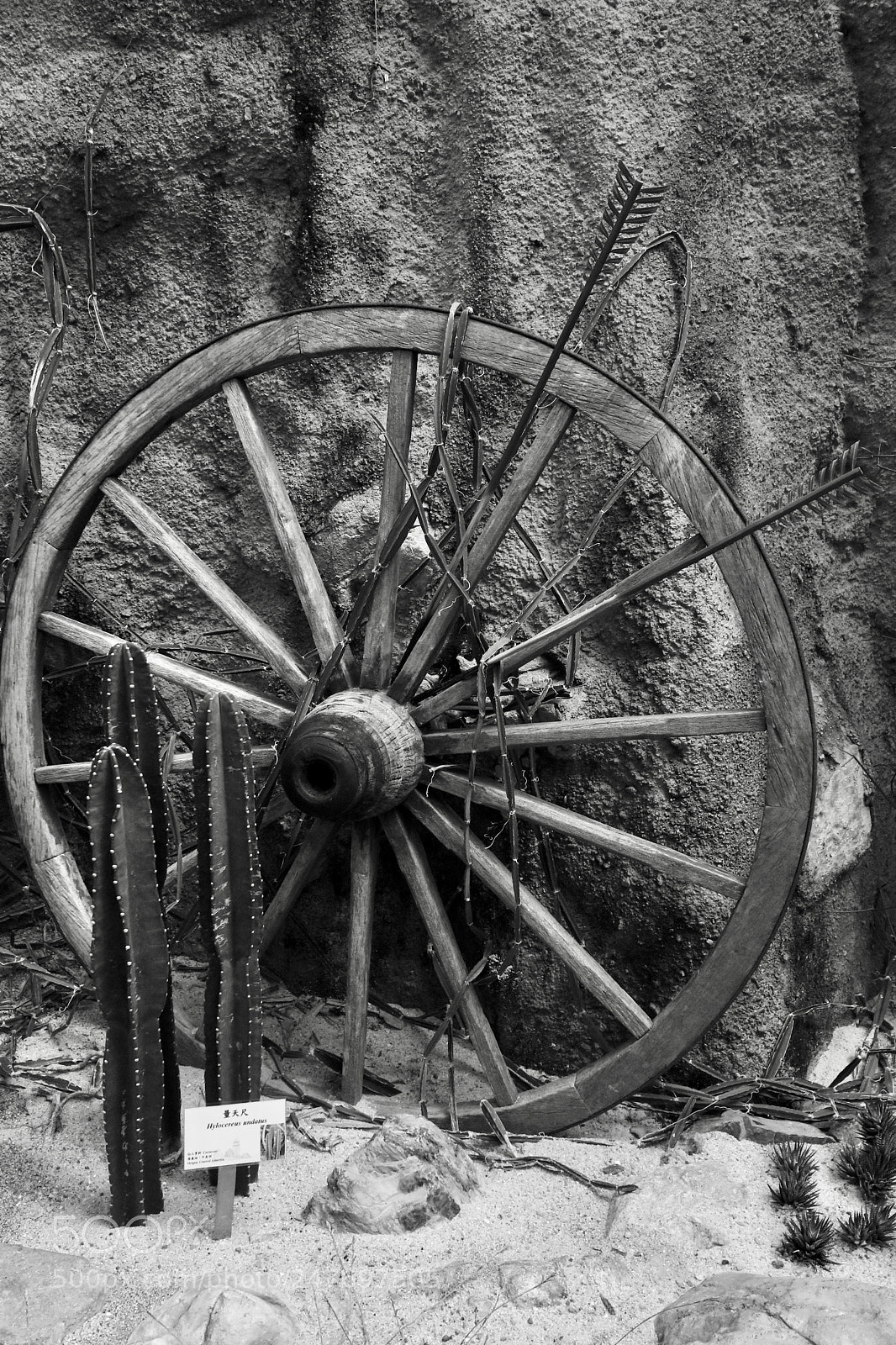 Canon EOS 80D sample photo. A wheel photography