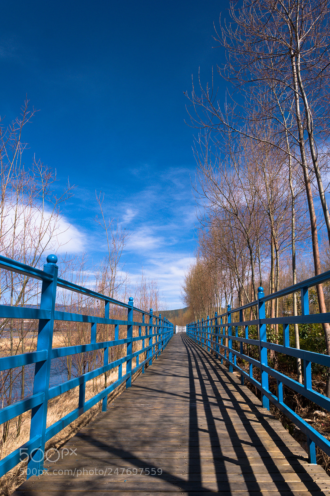 Nikon D90 sample photo. Endless photography