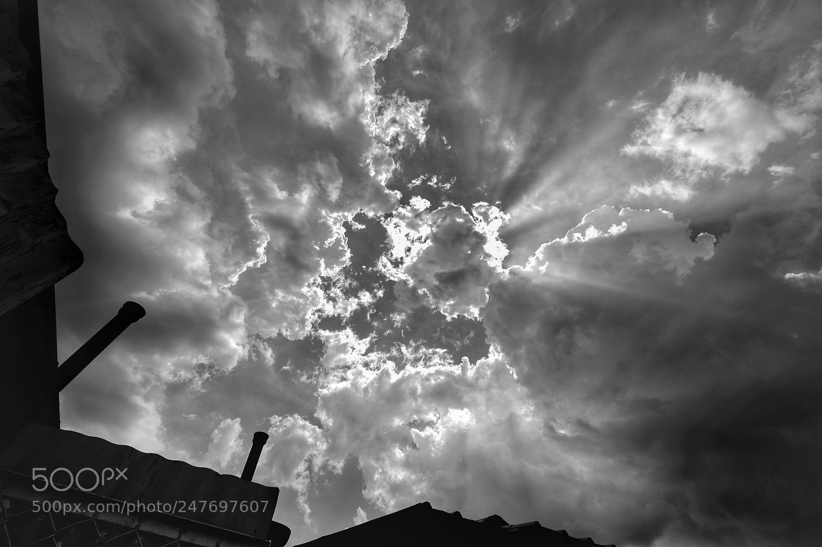 Fujifilm X-T20 sample photo. Sunlight photography