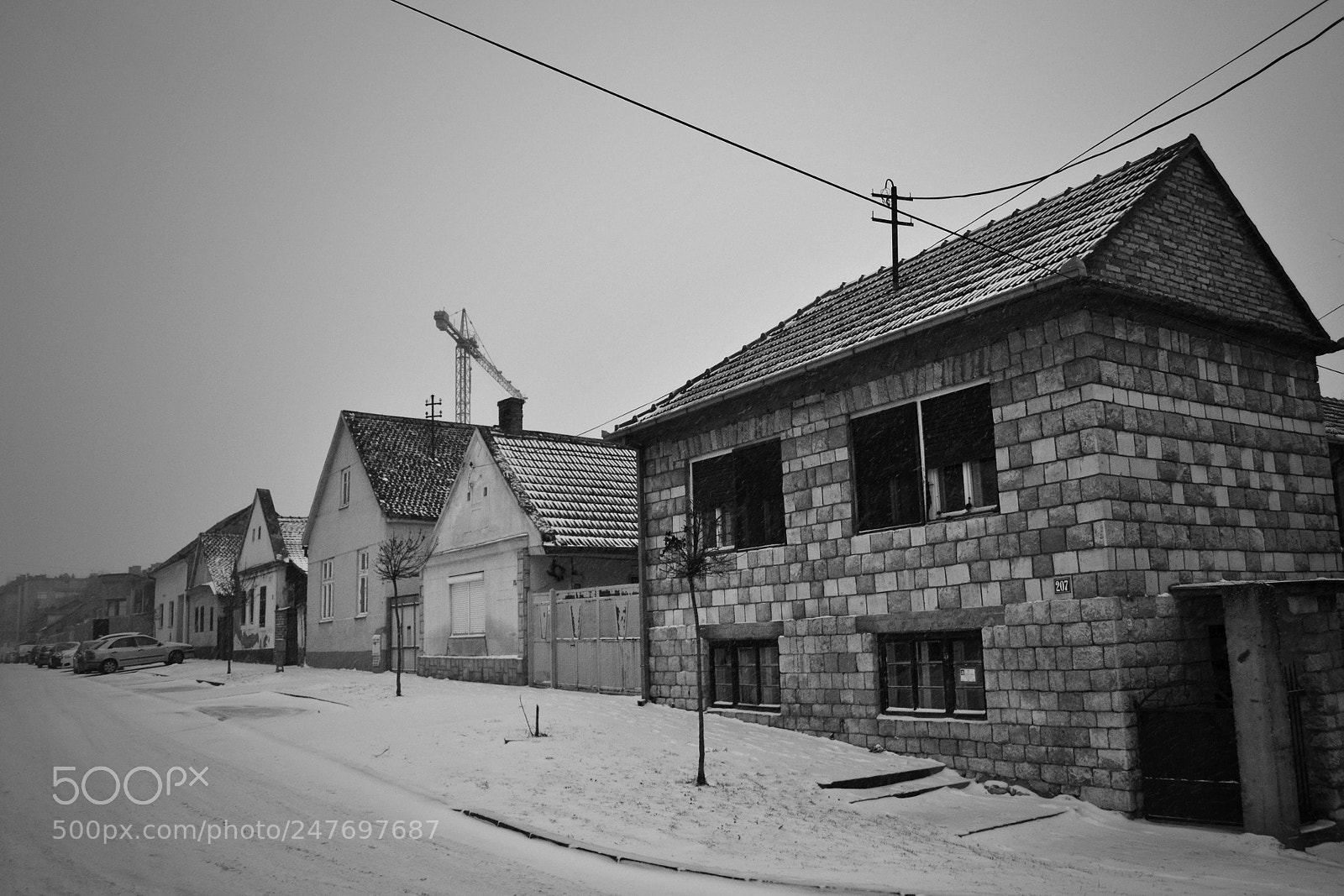 Nikon D3100 sample photo. Cosak veljka dugosevica i photography