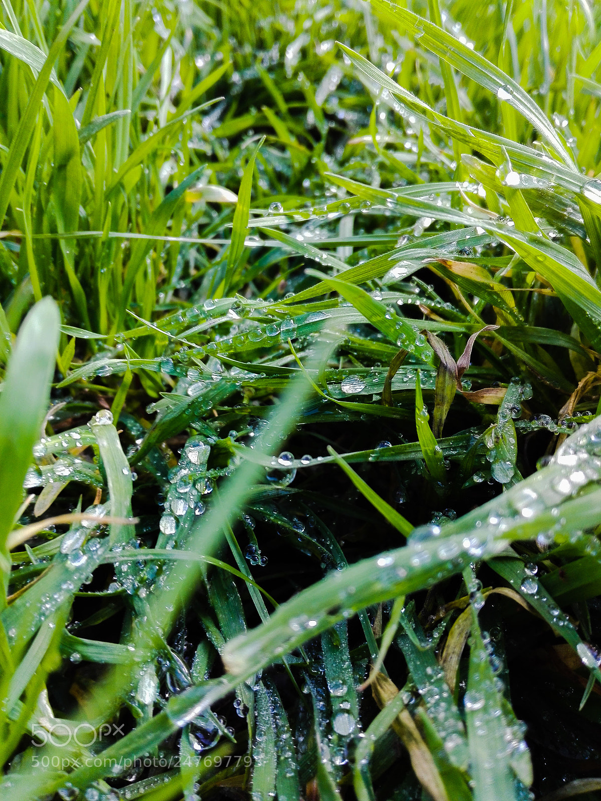 HUAWEI P8 Lite sample photo. Untitled photography