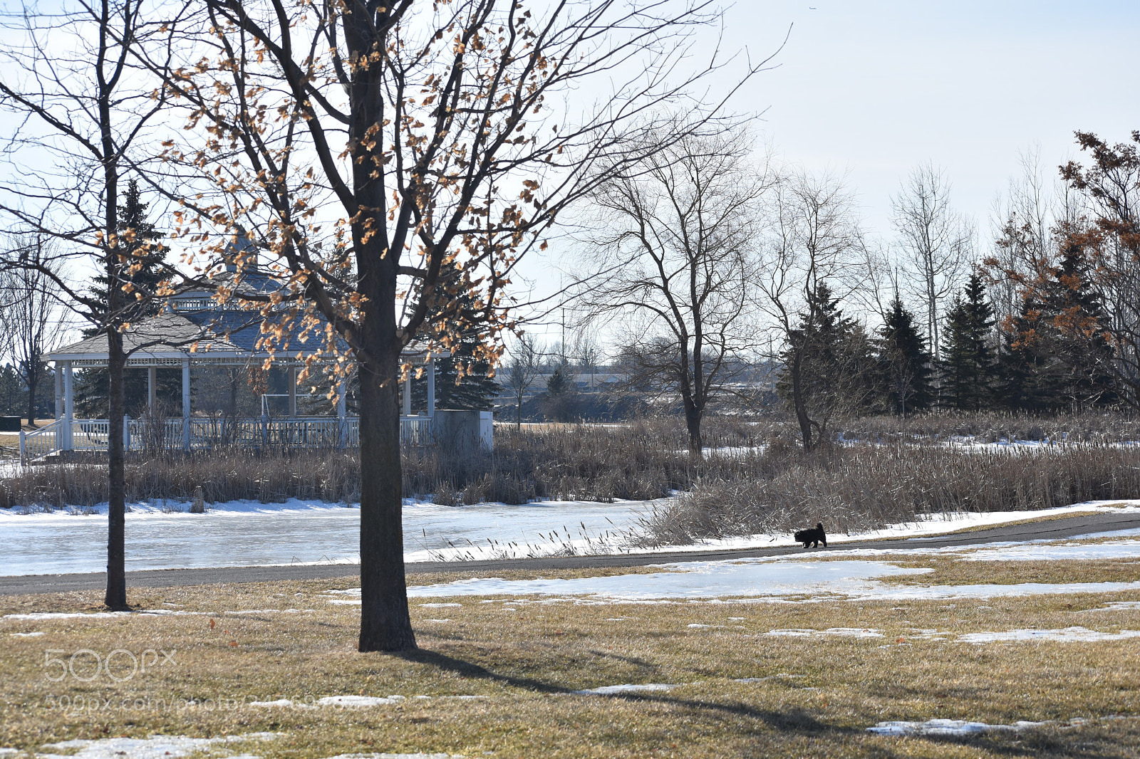 Nikon D3400 sample photo. Abby taking the scenic photography