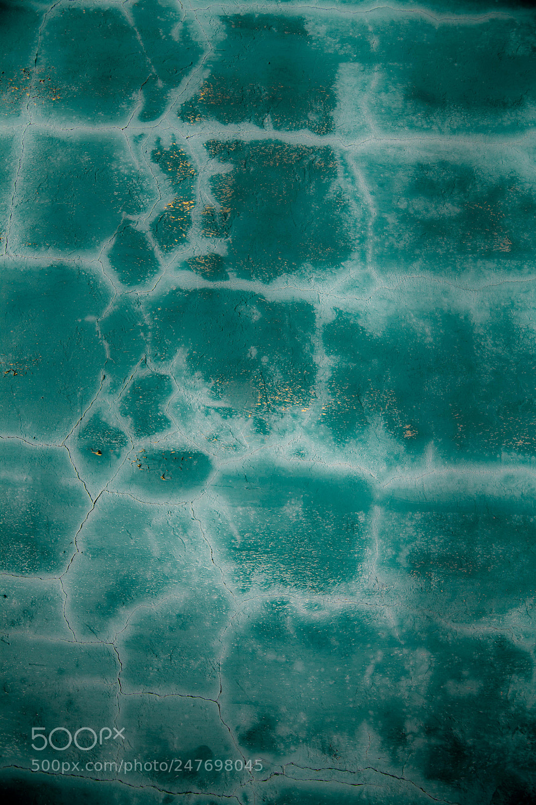 Nikon D7100 sample photo. Wall background photography