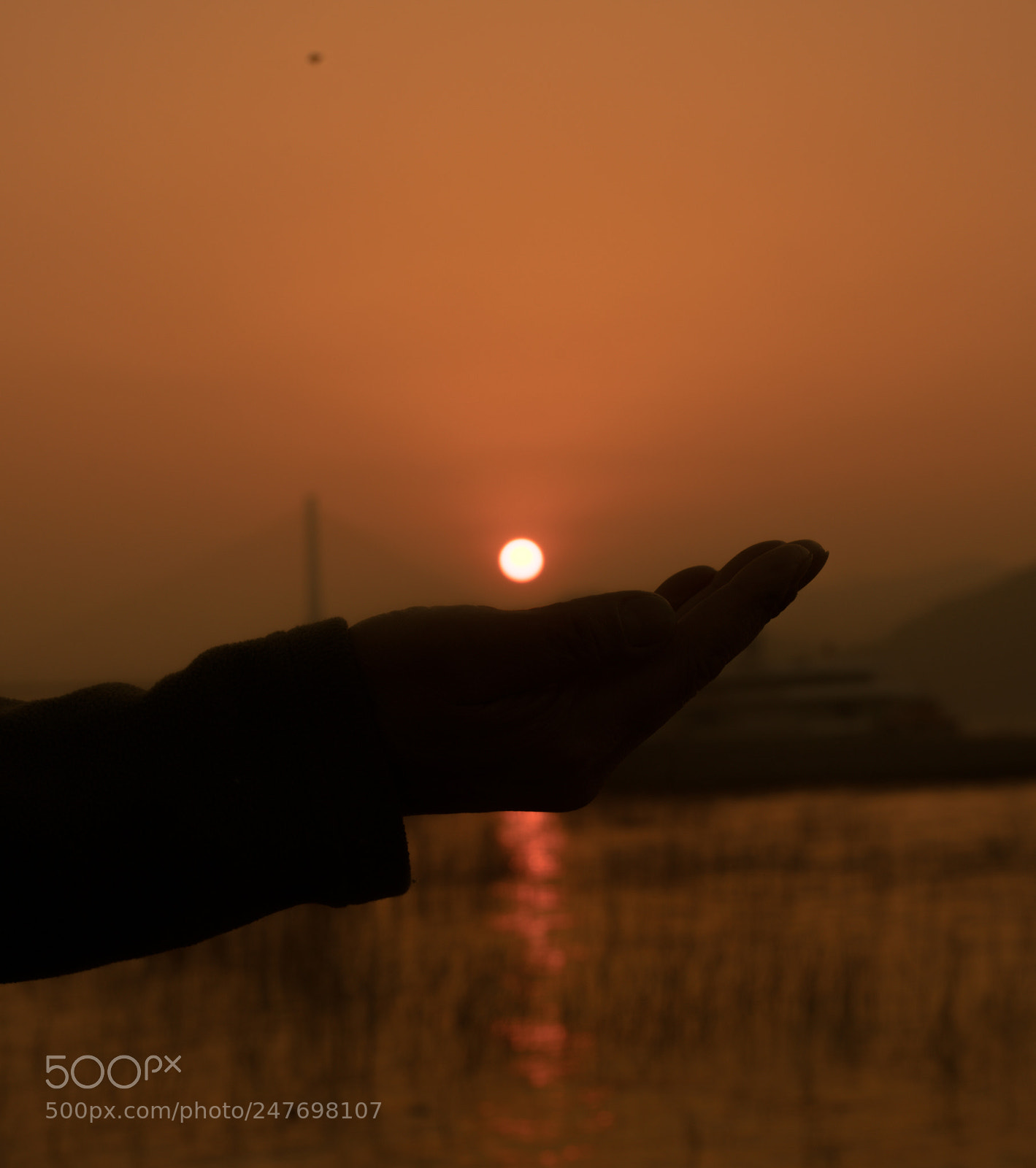 Sony a7R II sample photo. Untitled photography