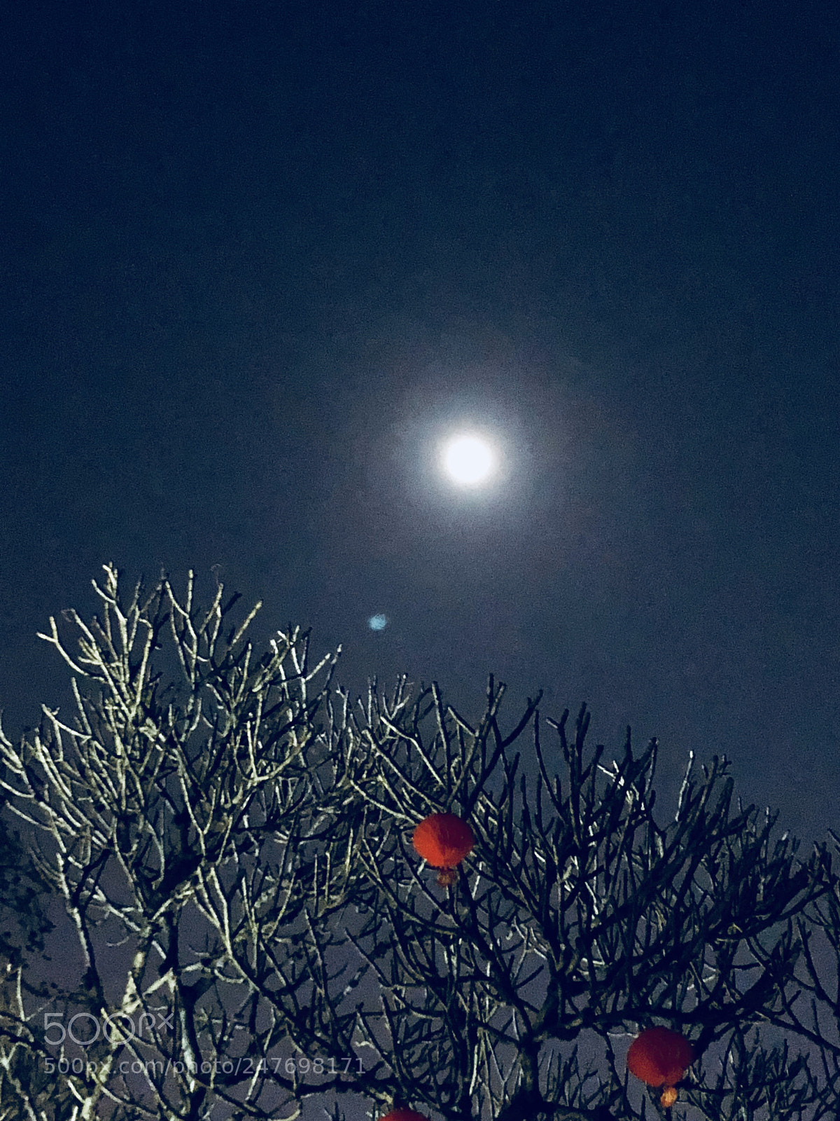 Apple iPhone 8 Plus sample photo. The moon photography