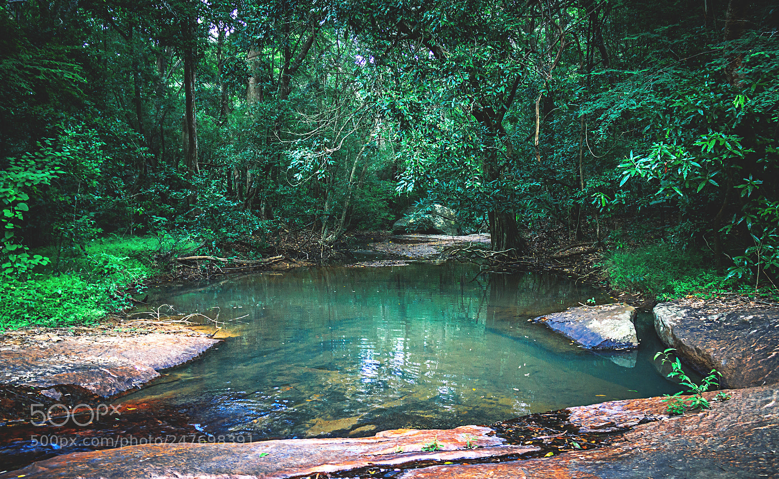 Canon EOS 600D (Rebel EOS T3i / EOS Kiss X5) sample photo. The kaludiya pokuna forest photography