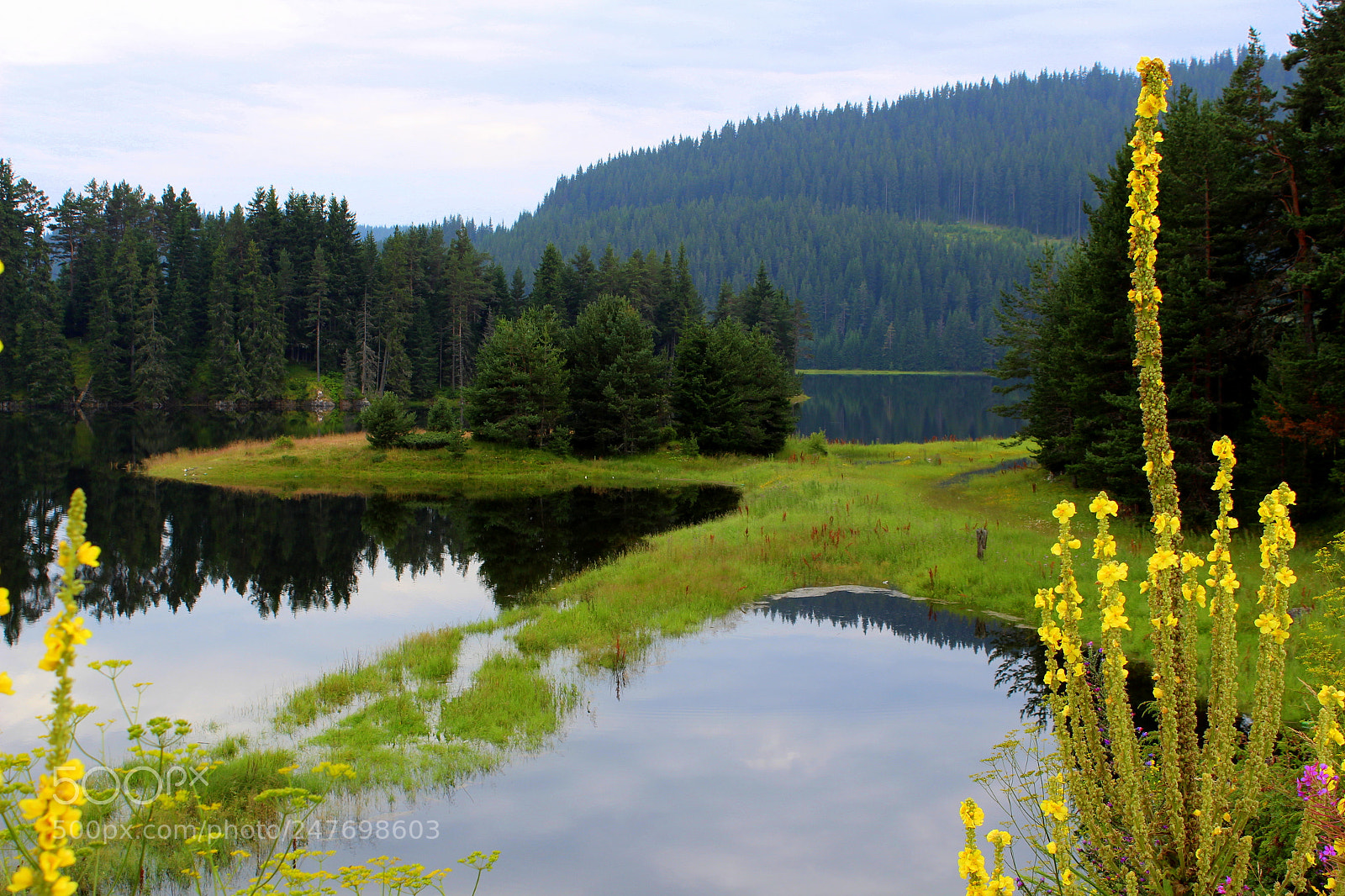 Canon EOS 650D (EOS Rebel T4i / EOS Kiss X6i) sample photo. Spring high water photography