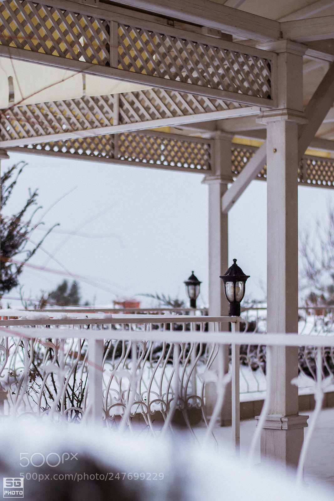 Nikon D3100 sample photo. Untitled photography