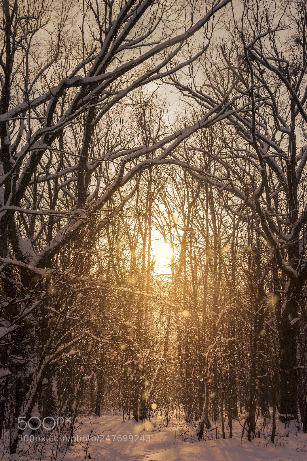 Nikon D7200 sample photo. Glimpse of light photography