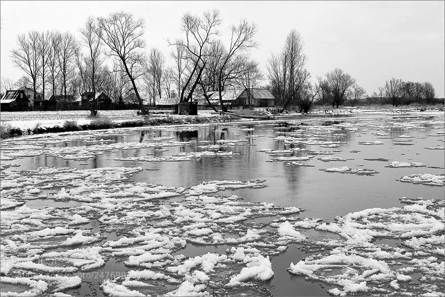 Nikon D610 sample photo. Ice floes on the photography