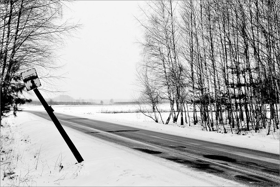 Nikon D610 sample photo. Bus stop photography