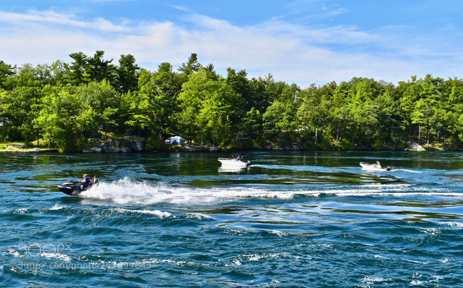 Nikon D5600 sample photo. The champion of thousand photography
