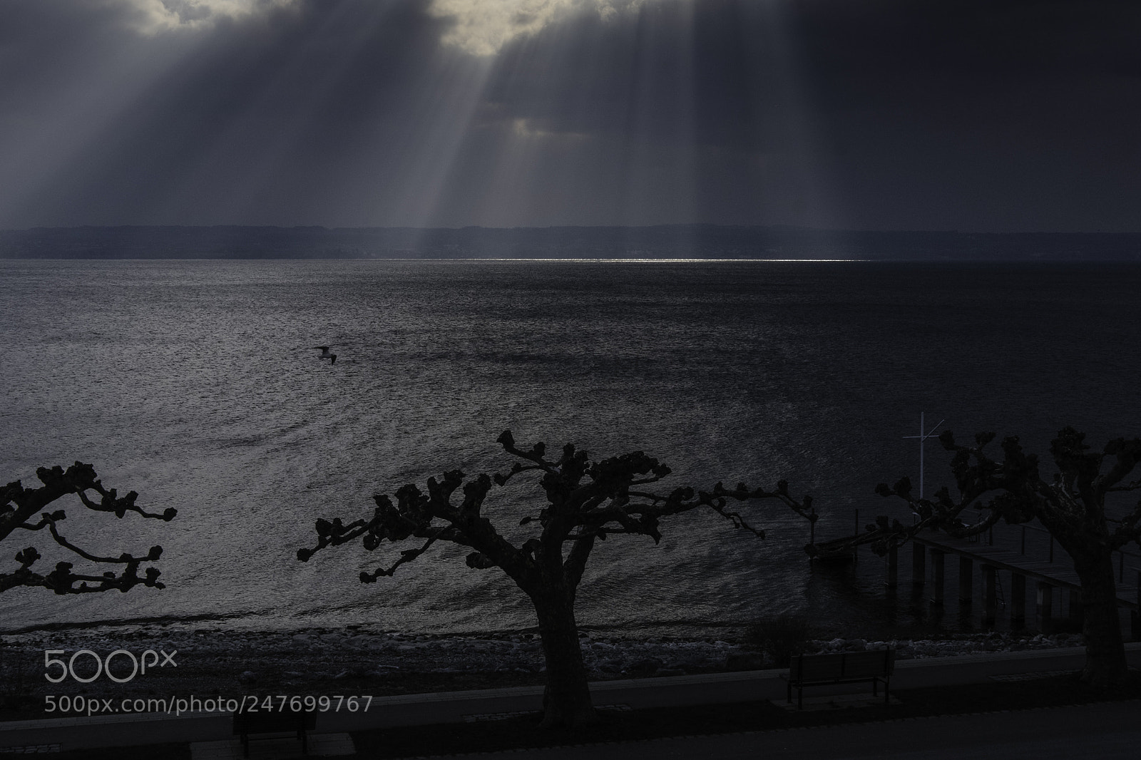 Fujifilm X-T1 sample photo. Spektakel photography