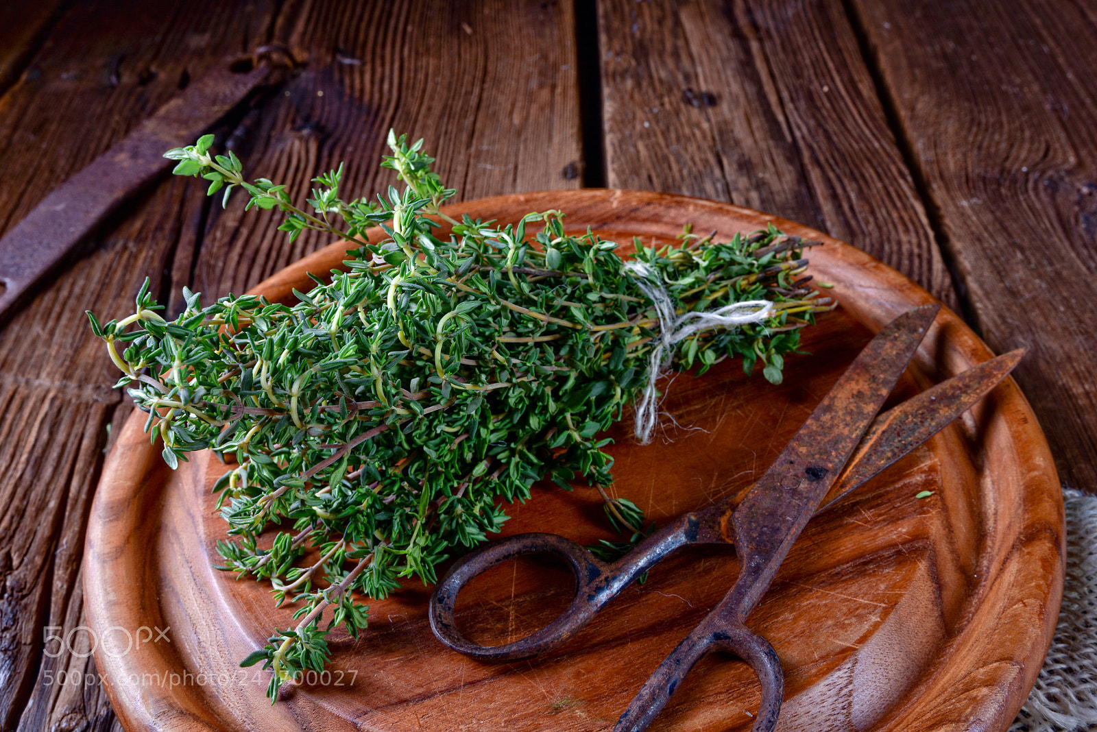 Nikon D810 sample photo. Fresh and aromatische thymus photography