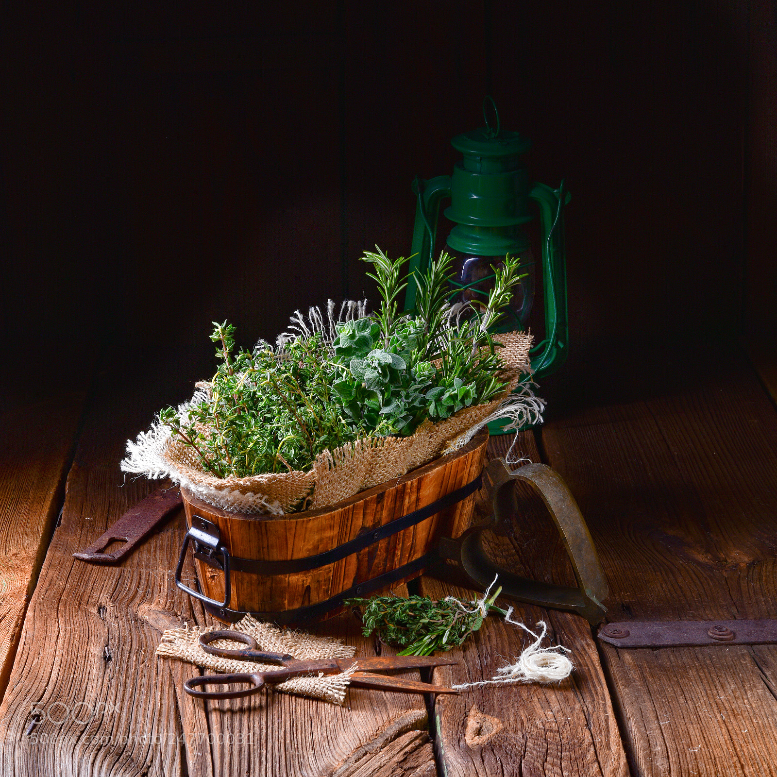 Nikon D810 sample photo. Herbal collection of thyme,oregano photography