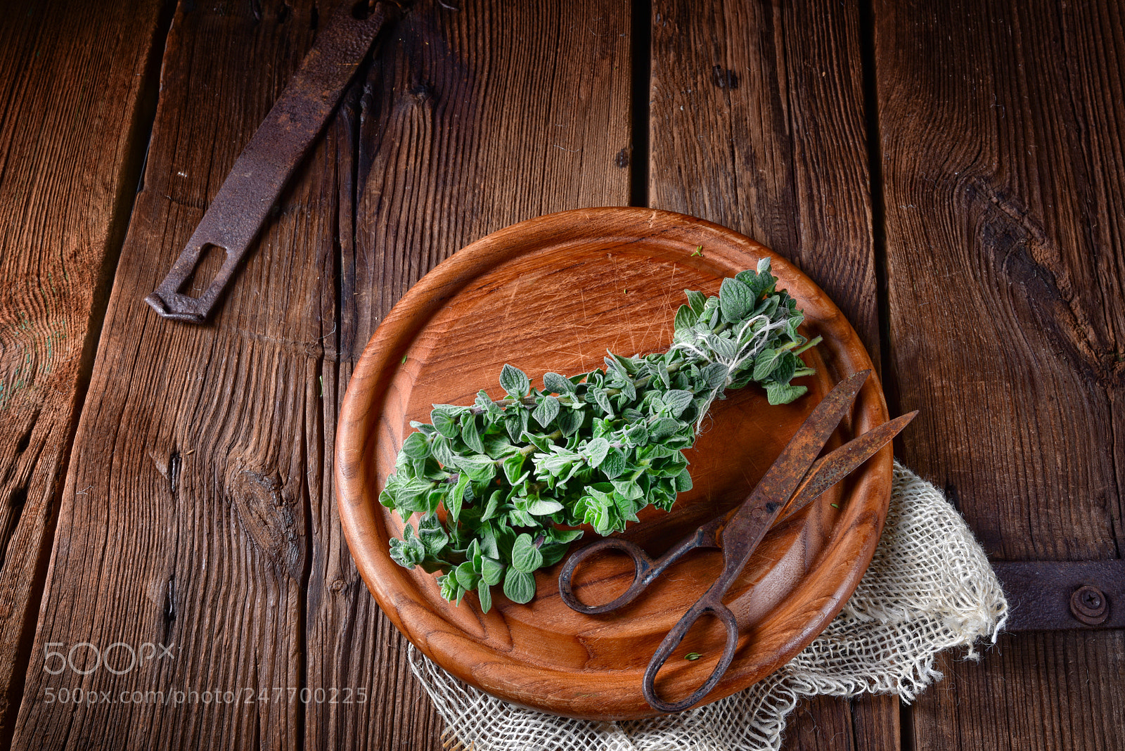 Nikon D810 sample photo. Aromatische oregano (origanum vulgare) photography