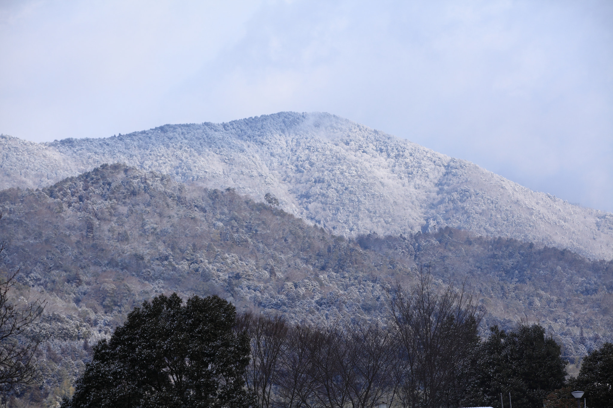 Canon EF 70-200mm F2.8L IS II USM sample photo. Img photography