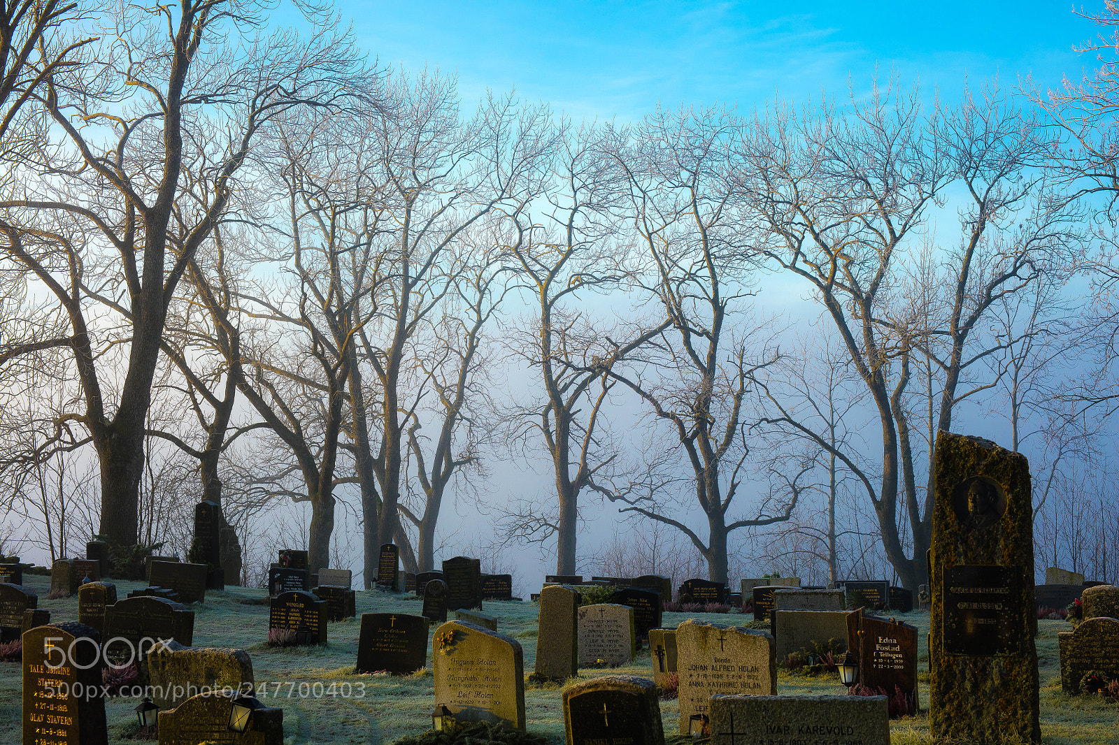 Canon EOS 5DS R sample photo. Mors et vita photography