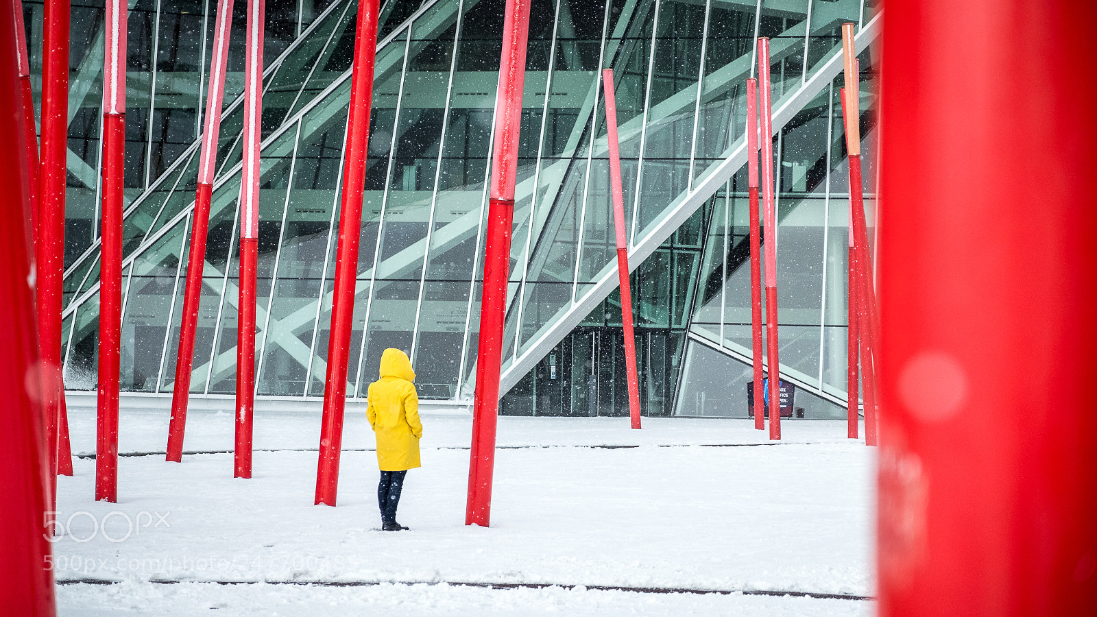Fujifilm X-Pro2 sample photo. Under the snow photography