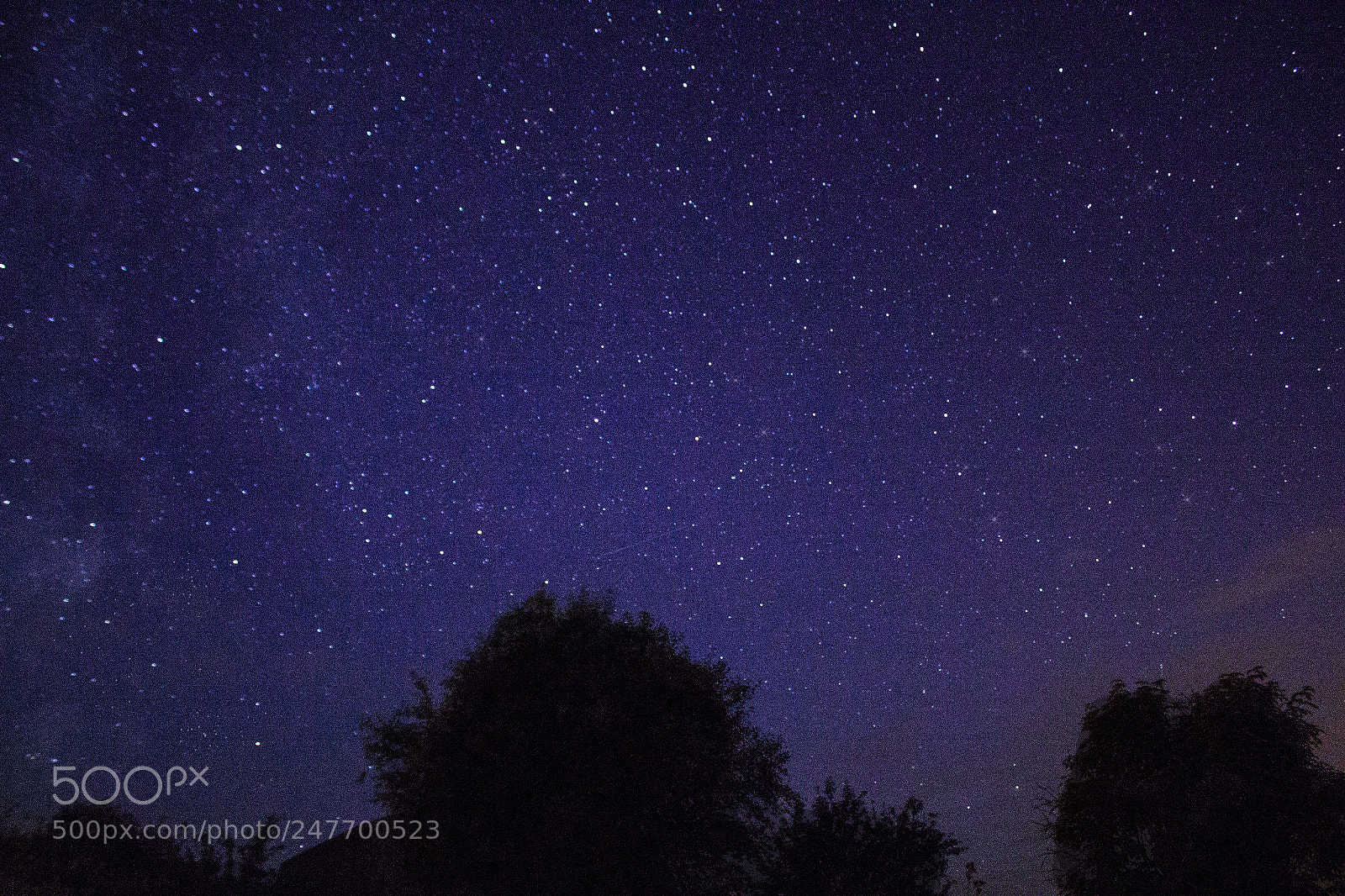 Canon EOS 550D (EOS Rebel T2i / EOS Kiss X4) sample photo. Starry night photography