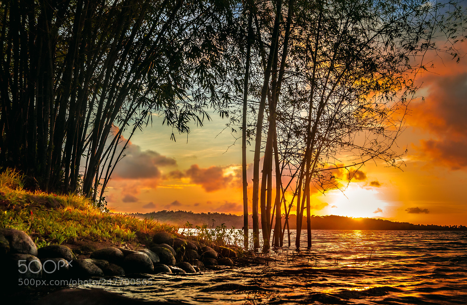 Nikon D5100 sample photo. Orange sunset photography